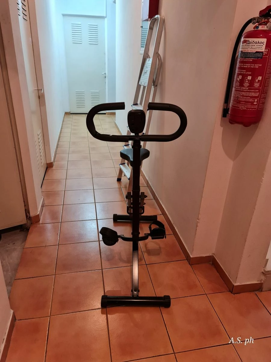 Vendora όργανο γυμναστικής