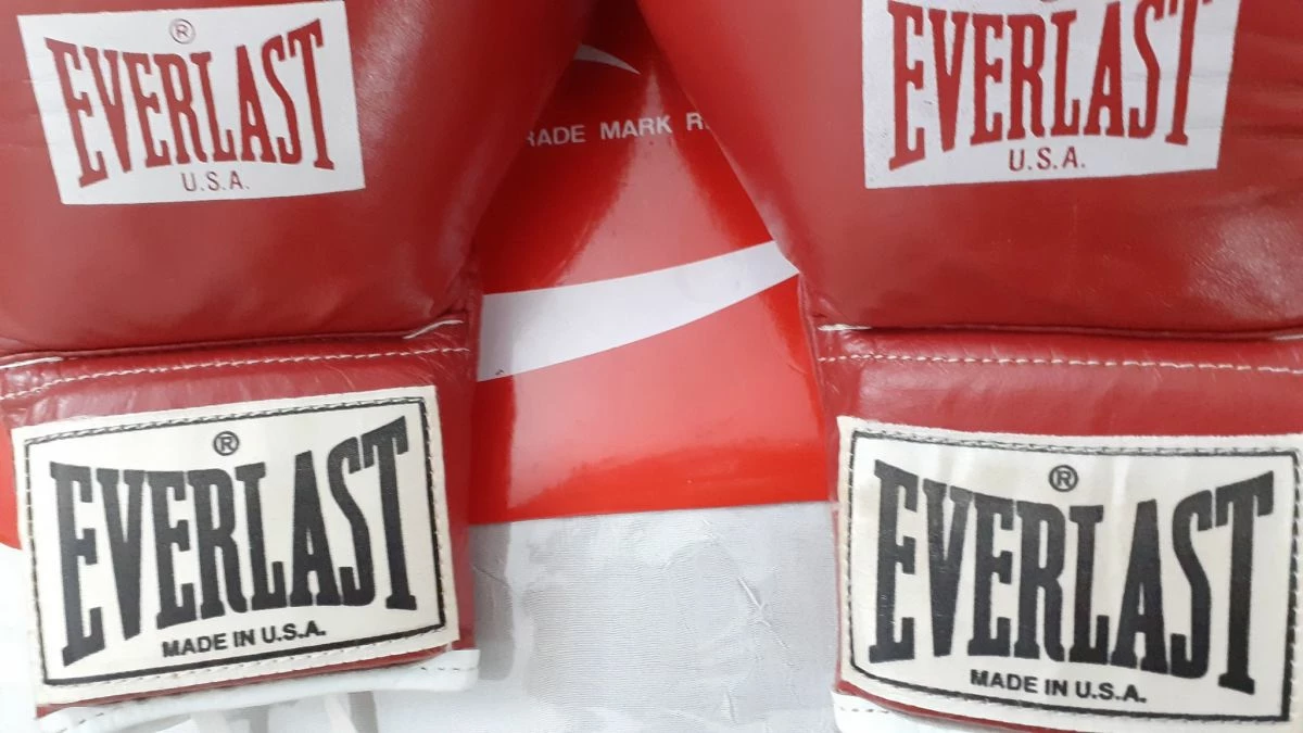 Vendora Γαντια πυγμαχιας δερματινα Everlast 10 Oz - Image 2