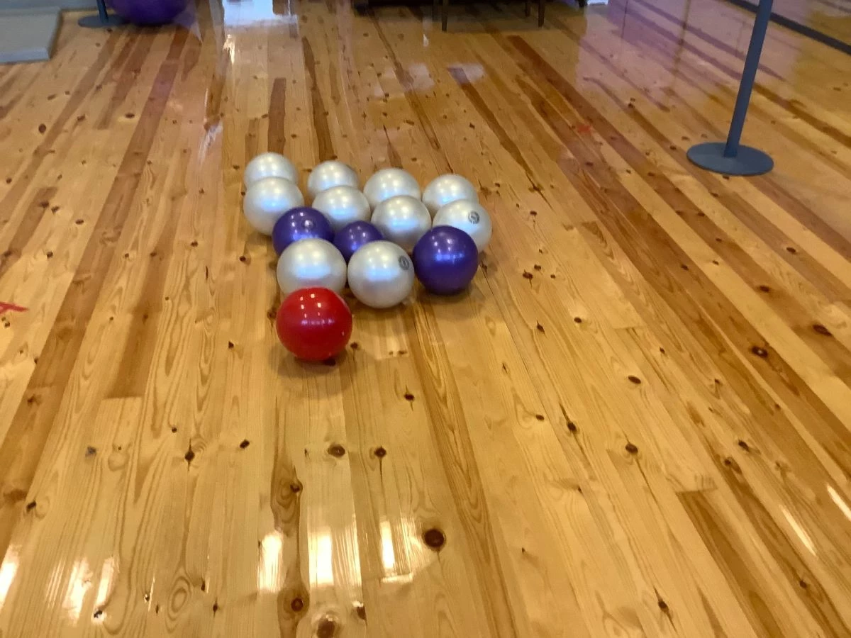 Vendora Μπάλες ρυθμικής - Image 2