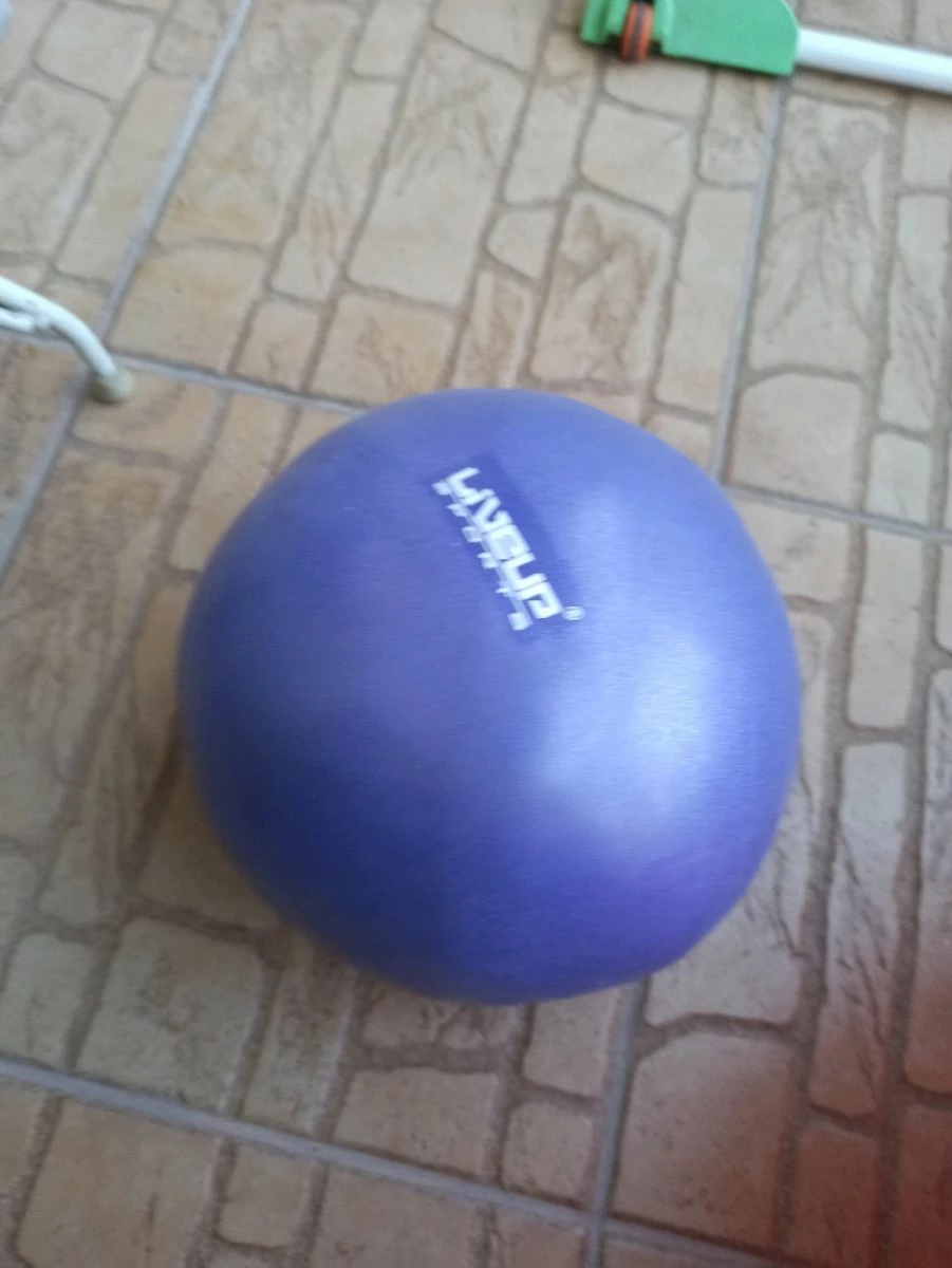 Vendora Μπαλα πιλατες Live Up